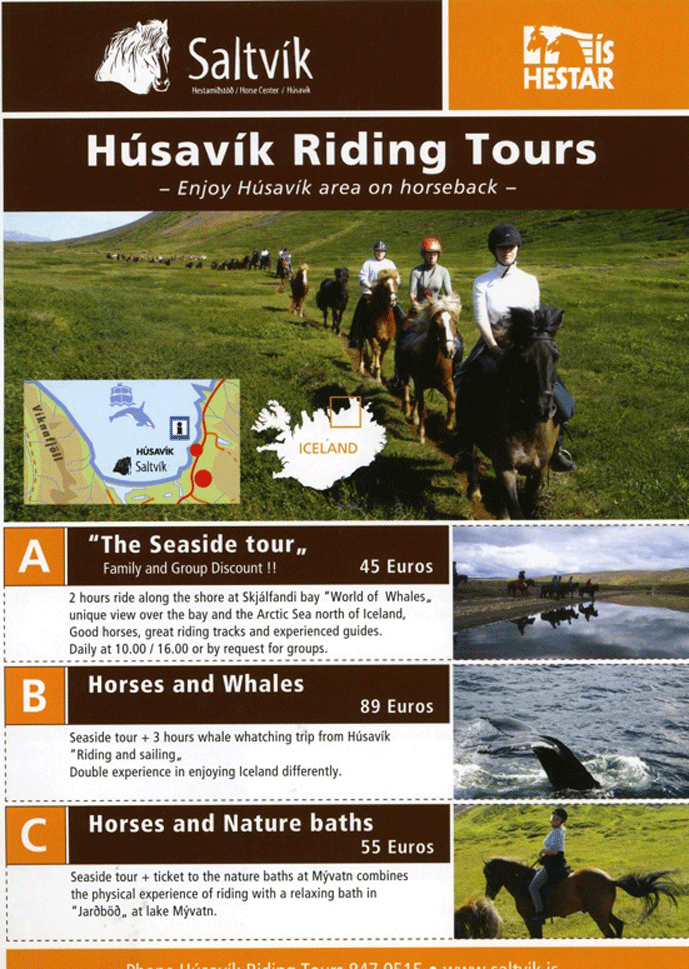 Husavik horseriding